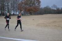Photo Number 5