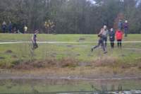 Photo Number 6