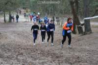 Photo Number 13