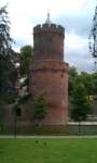 Photo Number 6