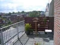 Photo Number 3