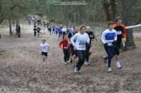 Photo Number 8