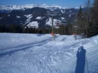 Photo Number 11