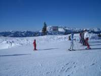 Photo Number 14