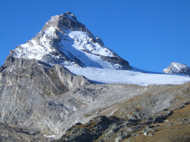 Photograph