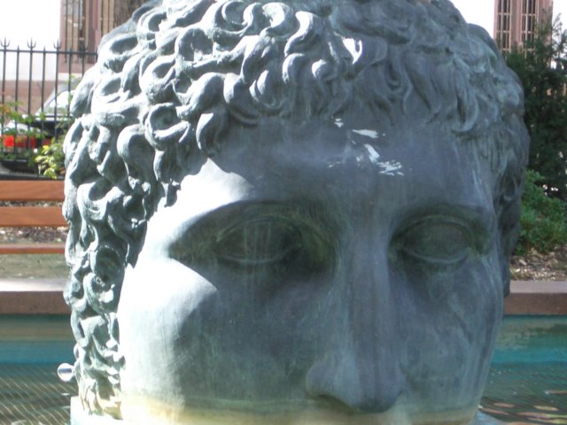 Photograph