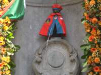Photo Number 13