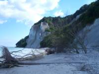 Photo Number 15