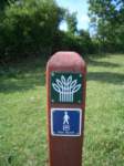 Photo Number 7