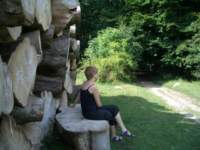 Photo Number 8