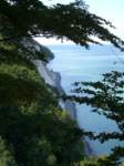 Photo Number 9
