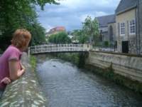 Photo Number 3