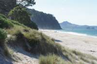 Photo Number 15
