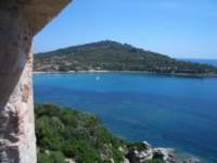 Photo Number 7