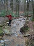 Photo Number 8
