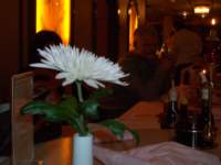 Photo Number 11
