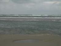 Photo Number 11