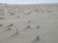 Photo Number 12