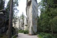 Photo Number 5