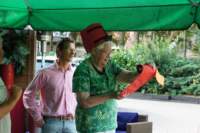 Photo Number 14