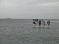 Photo Number 11