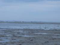 Photo Number 5