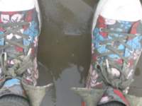 Photo Number 7