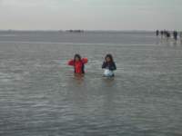 Photo Number 9