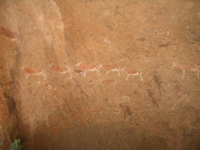 Photograph