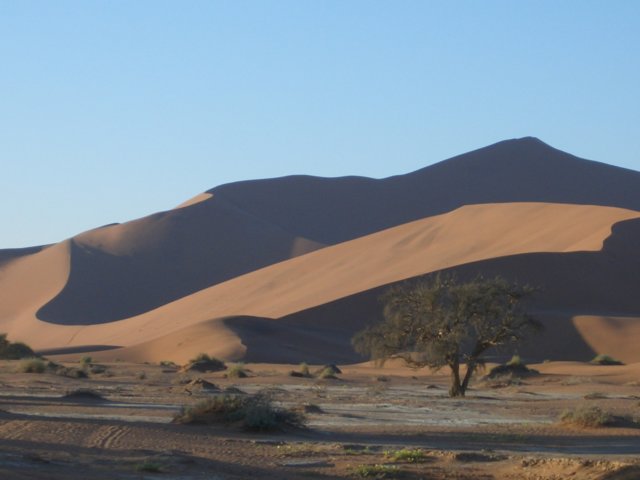 Photograph