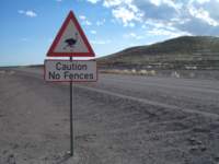 Photo Number 14